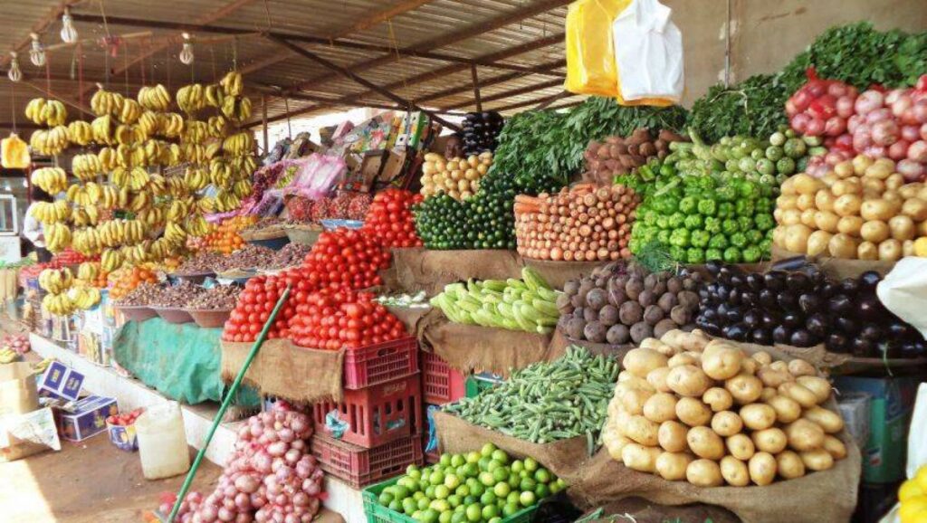 Wisdom Agrom Expands Global Reach with New Export Partnerships in Europe and Asia”