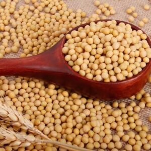 soya beans