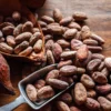 Cocoa