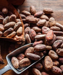 Cocoa