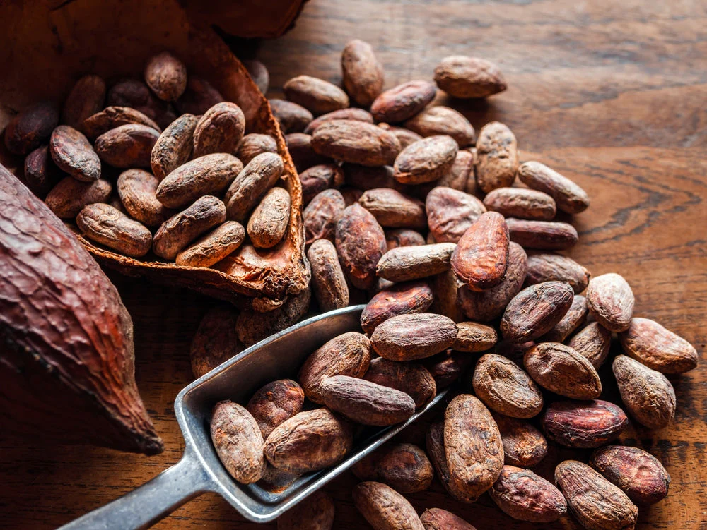 Cocoa